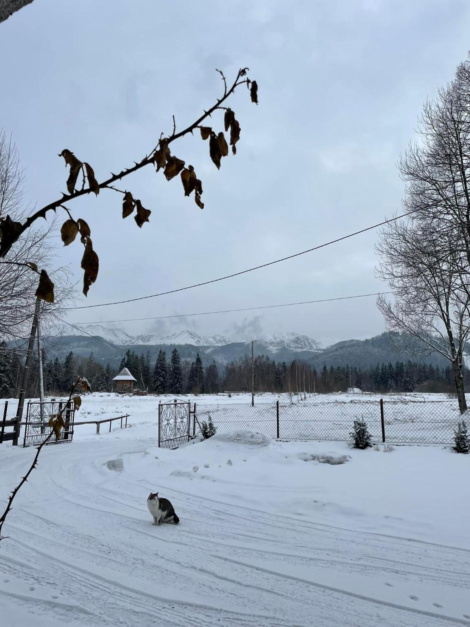 Pensjonat U Doroty, Zakopane - Twoje Miejsce W Gorach Exterior foto